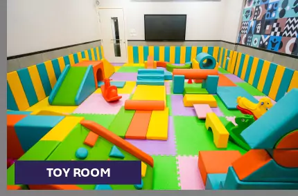 TOY ROOM